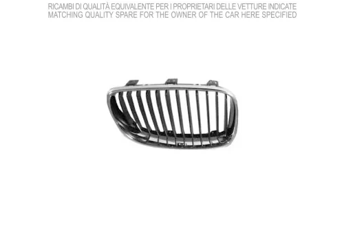 Radiator Grille
