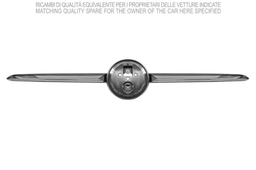 Striscia di protezione/rifinitura, paraurti