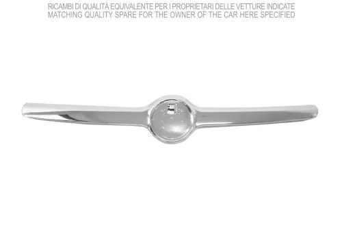 Striscia di protezione/rifinitura, griglia del radiatore