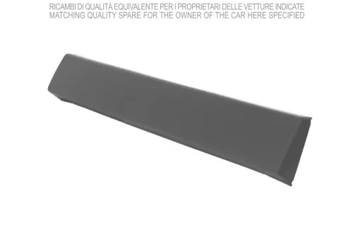 Trim/Protection Strip, wing