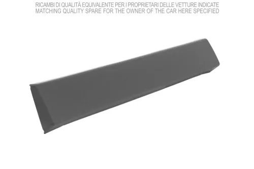 Trim/Protection Strip, wing