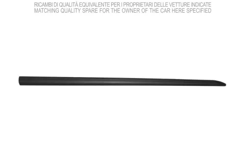 Trim/Protection Strip, wing