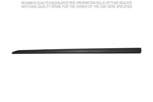 Trim/Protection Strip, wing