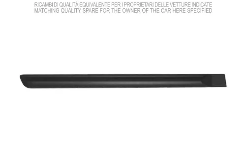 Trim/Protection Strip, wing