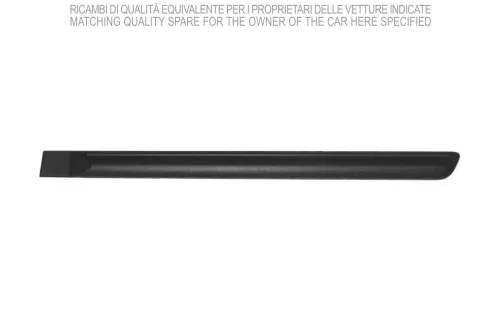 Trim/Protection Strip, wing