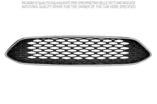Radiator Grille