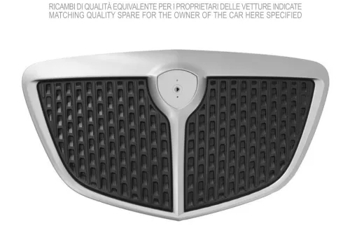 Griglia del radiatore