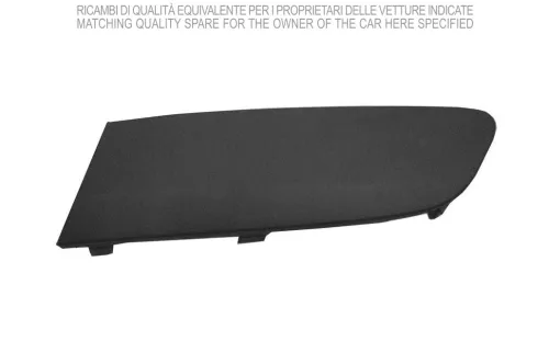 Striscia di protezione/rifinitura, paraurti