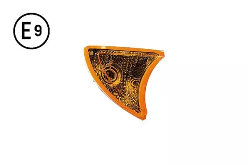 Fanale Laterale Destro Iveco Stralis 2007 OE 42555041 - 5801755123 -504187906