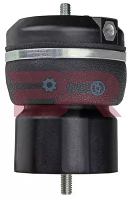 CELLA SOSPENSIONE PNEUMATICA