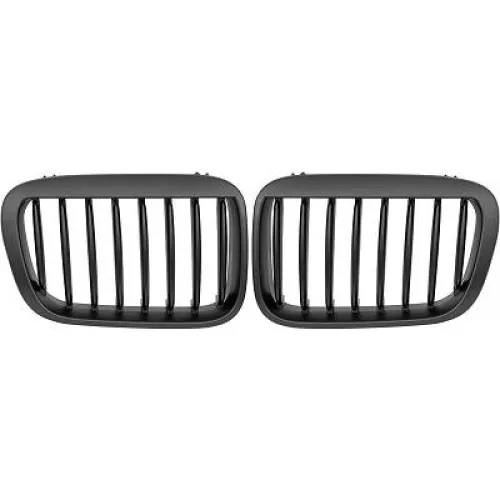 Griglia del radiatore