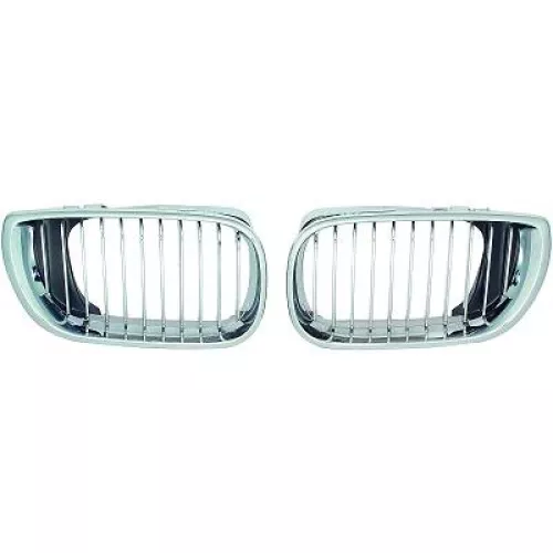 Griglia del radiatore