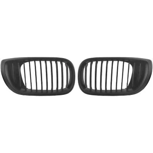 Griglia del radiatore