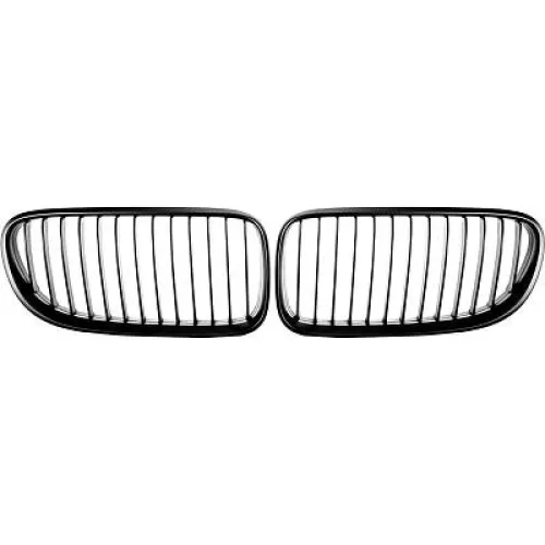 Griglia del radiatore