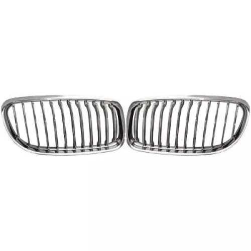 Griglia del radiatore