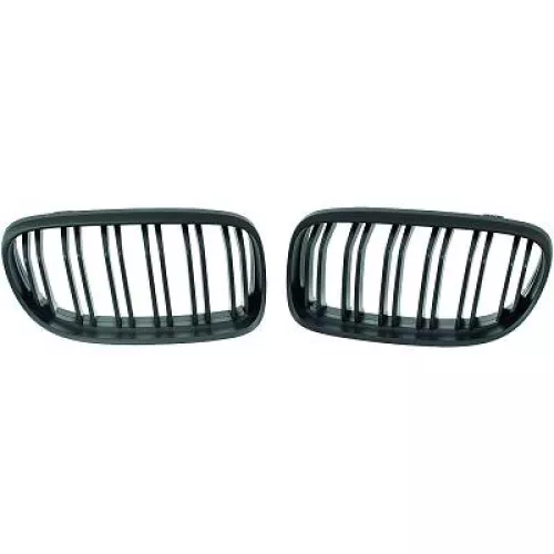 Radiator Grille