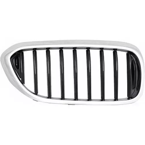 Radiator Grille