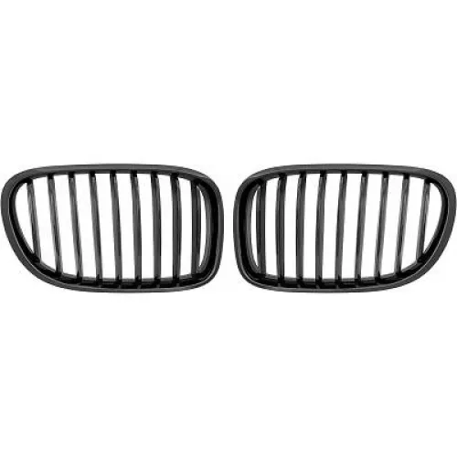 Radiator Grille