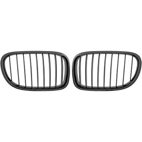Radiator Grille