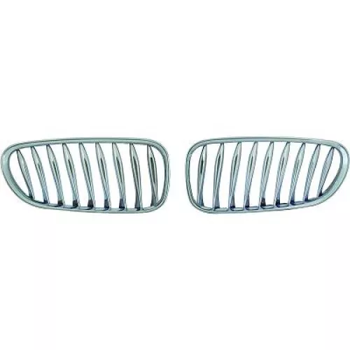 Radiator Grille