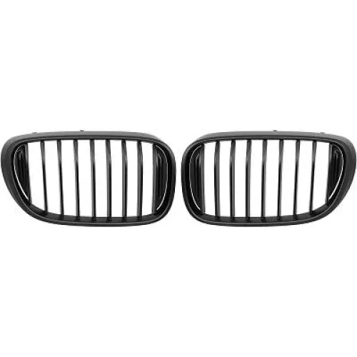Radiator Grille