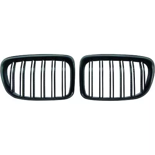Radiator Grille