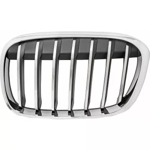 Radiator Grille