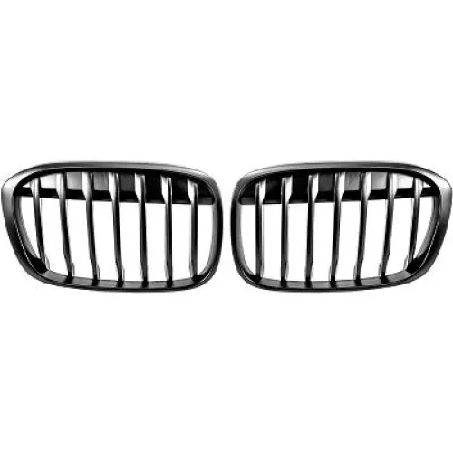 Radiator Grille