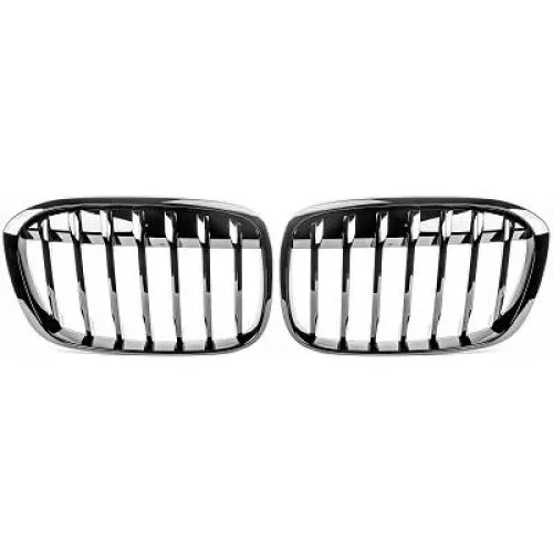 Radiator Grille