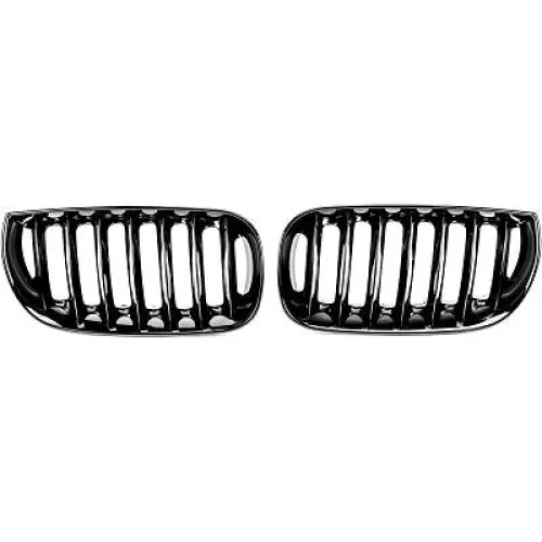 Radiator Grille