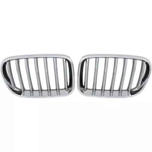 Radiator Grille