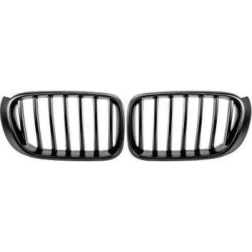 Radiator Grille
