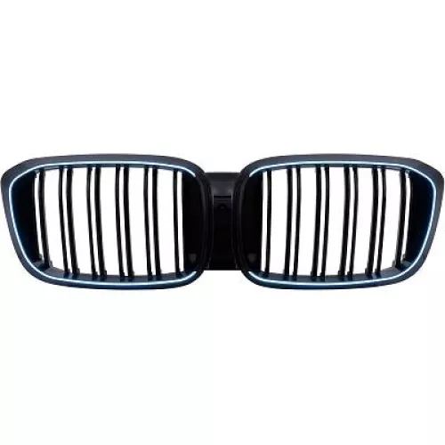 Radiator Grille