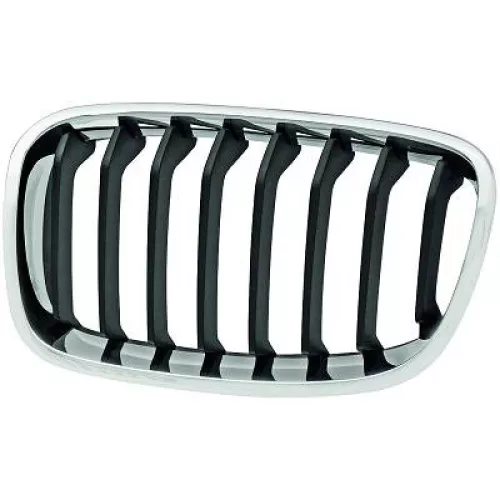 Radiator Grille