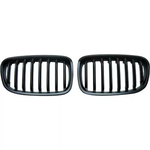 Radiator Grille