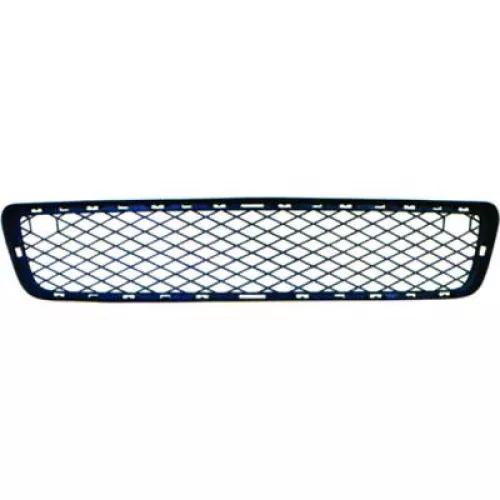 Radiator Grille