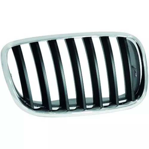 Radiator Grille