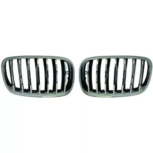 Radiator Grille