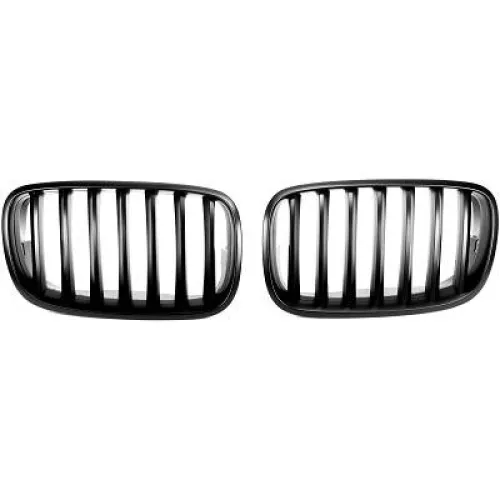 Radiator Grille