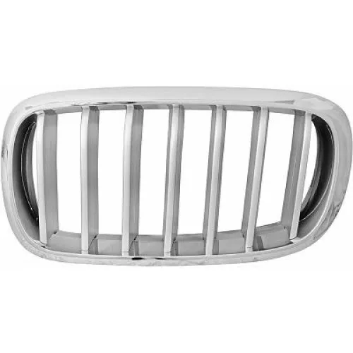 Radiator Grille