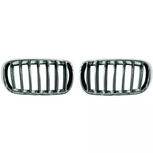 Radiator Grille