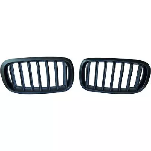 Radiator Grille
