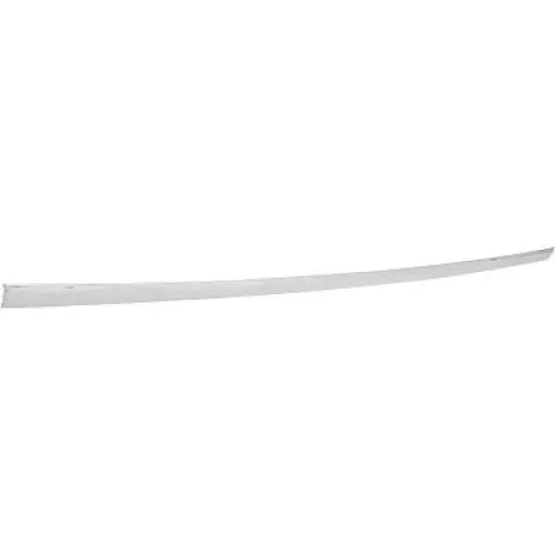 Trim/Protection Strip, bumper