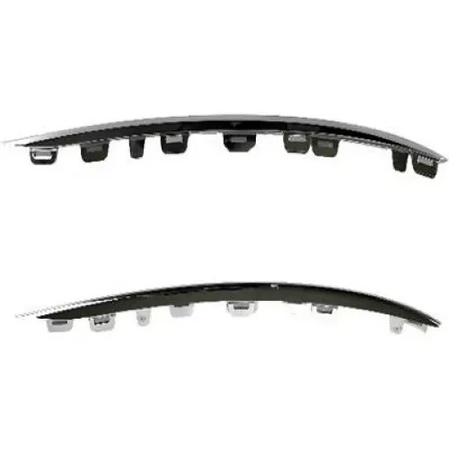 Trim/Protection Strip, bumper