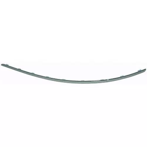 Trim/Protection Strip, bumper