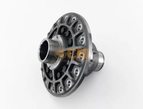 Ruotismo differenziale