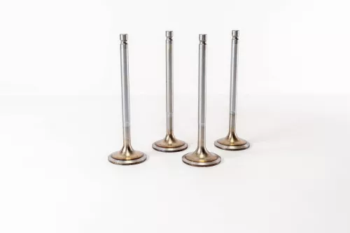 Valvola di aspirazione