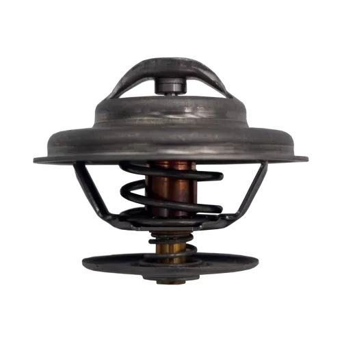 Termostato, Refrigerante