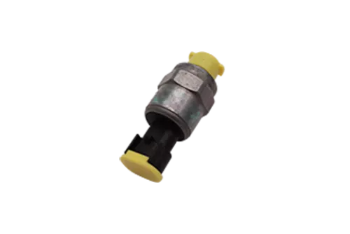 Interruttore pressione