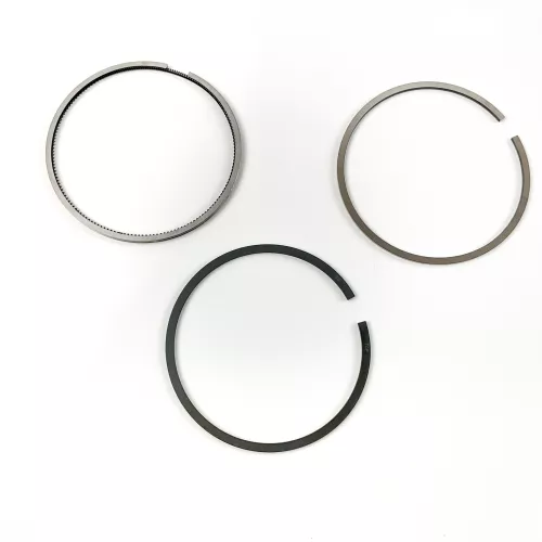 00444|Kit fasce elastiche|